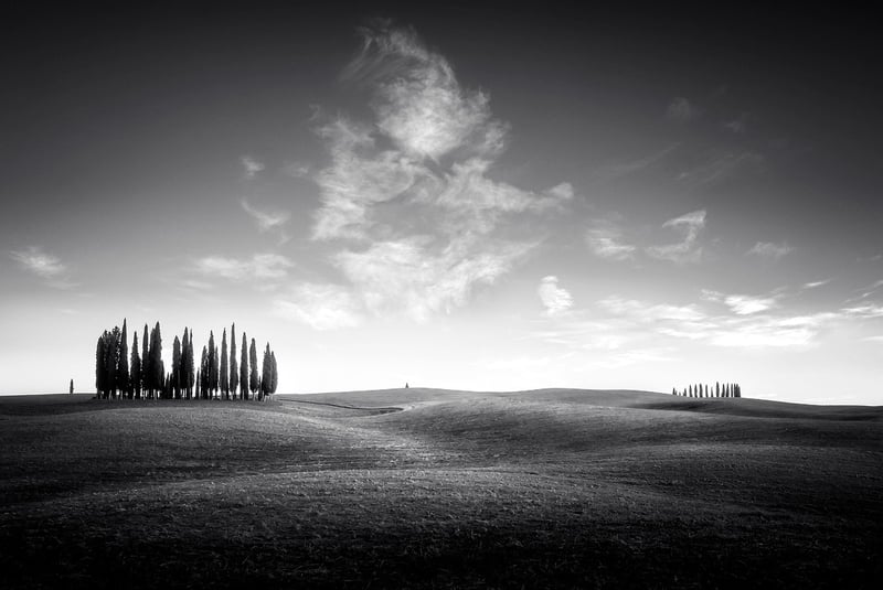 Tuscany, Italy Barn